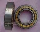Compressor Bearing